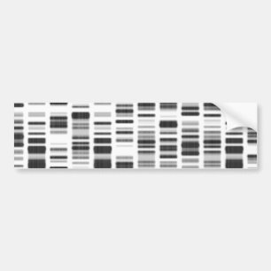 DNS-Druck - Autoaufkleber