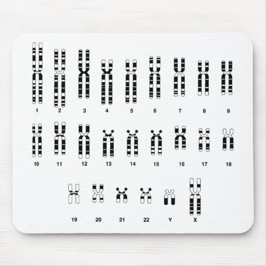 DNS mousepad (Vorne)