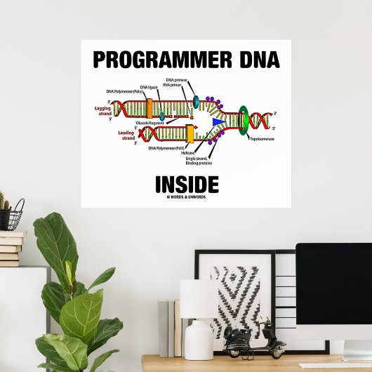 DNS-Programmier-Inside (DNA-Replikation) Poster (Heimbüro)