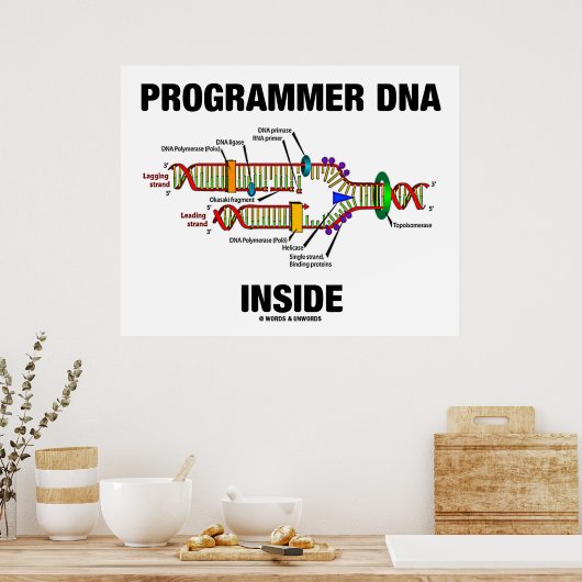 DNS-Programmier-Inside (DNA-Replikation) Poster (Küche)
