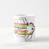 DNS-Reproduktion Kaffeetasse (Mittel)