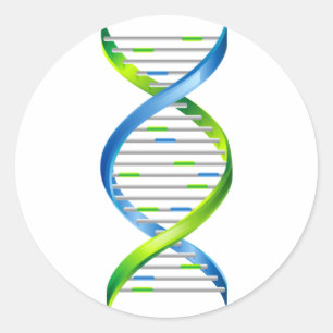 DNS RUNDER AUFKLEBER