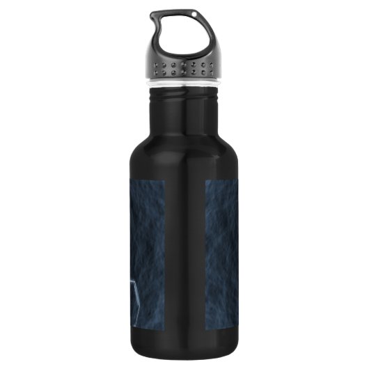 DNS-Strang Edelstahlflasche (Rückseite)