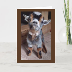 DO BABY HAT EINEN GEFÜHL "HABE EINEN GLÜCKLICHEN 3 KARTE