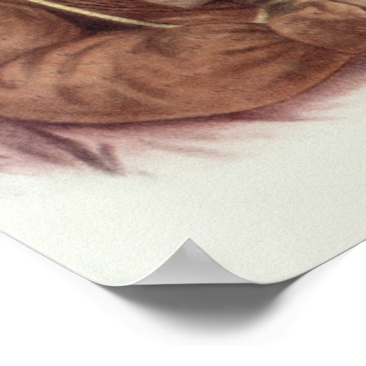 Do-Hon-Go, eine Osage Poster (Ecke)