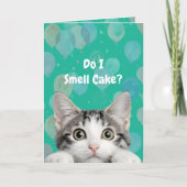 Do I Smell Cake Cute kitten Birthday Card Karte (Vorderseite)