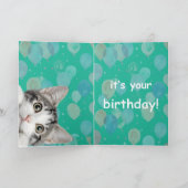 Do I Smell Cake Cute kitten Birthday Card Karte (Innenseite)