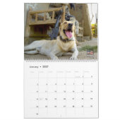 "DO NOT PET" - Kalender der militärischen Arbeitsl (Jan 2027)