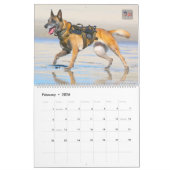 “DO NOT PET” - US Military Working Dogs Calendar Kalender (Feb 2026)