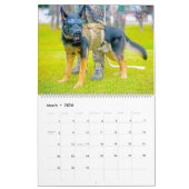 “DO NOT PET” - US Military Working Dogs Calendar Kalender (Mär 2026)