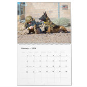 “DO NOT PET” - US Military Working Dogs Calendar Kalender (Feb 2026)