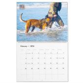 “DO NOT PET” - US Military Working Dogs Calendar Kalender (Feb 2026)