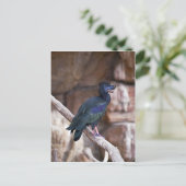 Dobbibis Postkarte (Stehend Vorderseite)