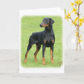 Doberman 9P99D-47 Karte (Gelbe Blume)
