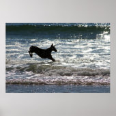 Doberman - Black - Ocean Leap Poster (Vorne)