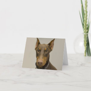 Doberman Blank Note Card Karte
