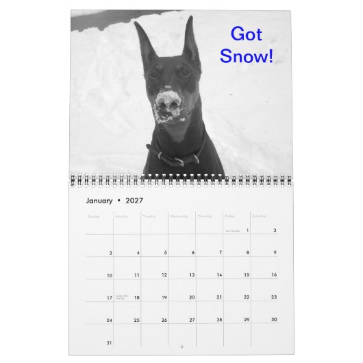 Doberman Calendar Kalender (Jan 2027)