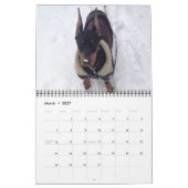 Doberman Calendar Kalender (Mär 2027)