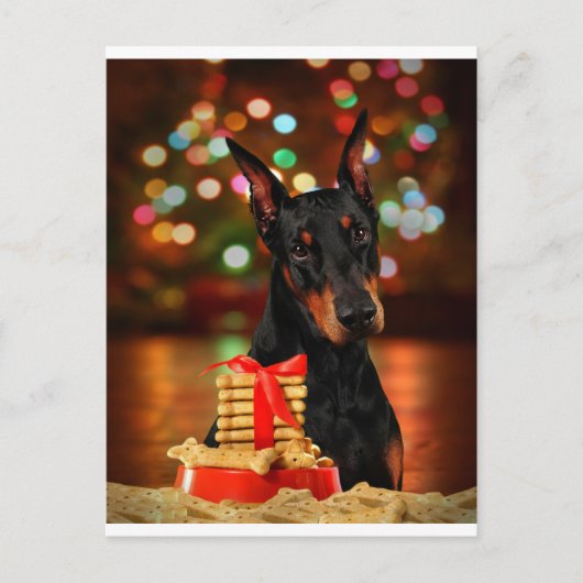 Doberman Christmas Feiertagspostkarte (Vorderseite)