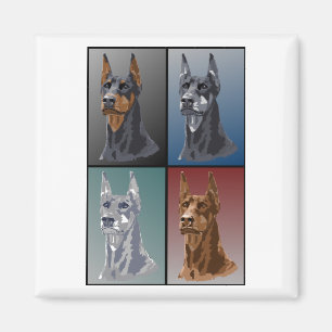 Doberman Colors Magnet