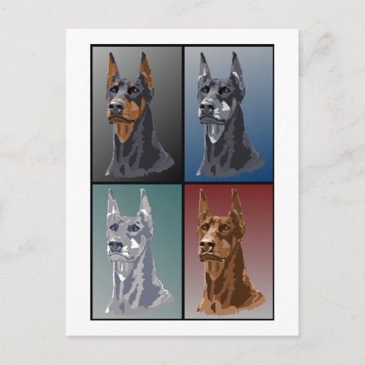 Doberman Colors Postkarte (Vorderseite)