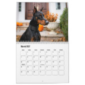 Doberman Dog Calendar Kalender (Mär 2027)