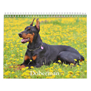 Doberman Dog Calendar Kalender