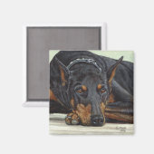 Doberman Dog Magnet (Vorderseite/Rückseite)