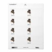 Doberman Dog Natural Oars (Vorne)