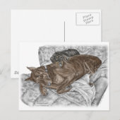 Doberman Dog und Puppy Postkarte (Vorne/Hinten)