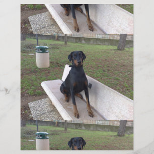 Doberman Flipper Flyer