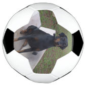 Doberman Flipper Fußball (Gedreht)