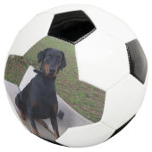 Doberman Flipper Fußball (Dreiviertel)