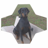 Doberman Flipper Fußball (Flach)