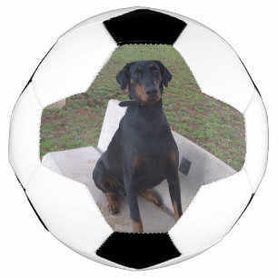 Doberman Flipper Fußball