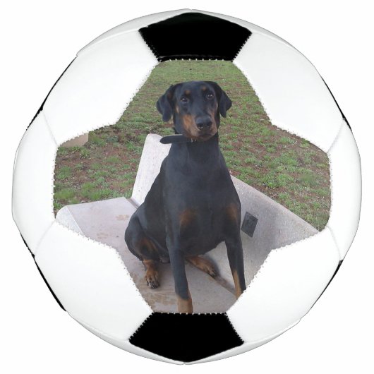 Doberman Flipper Fußball (Vorderseite)
