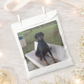 Doberman Flipper Geschenktütchen (Ausgeschnitten)