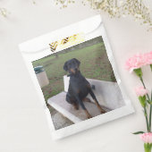Doberman Flipper Geschenktütchen (Versiegelt)