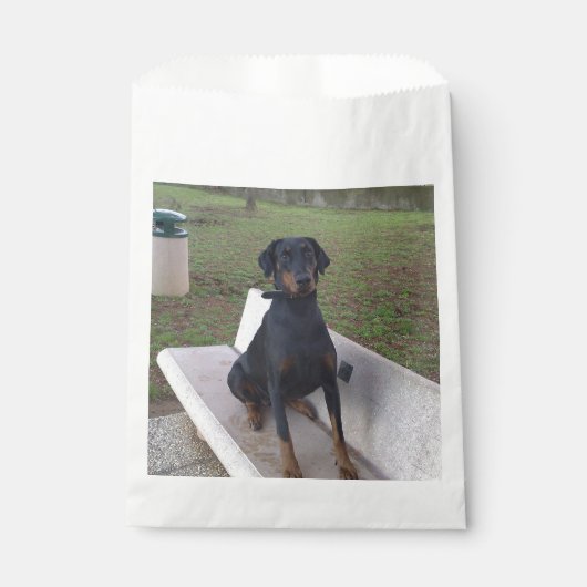 Doberman Flipper Geschenktütchen (Vorderseite)