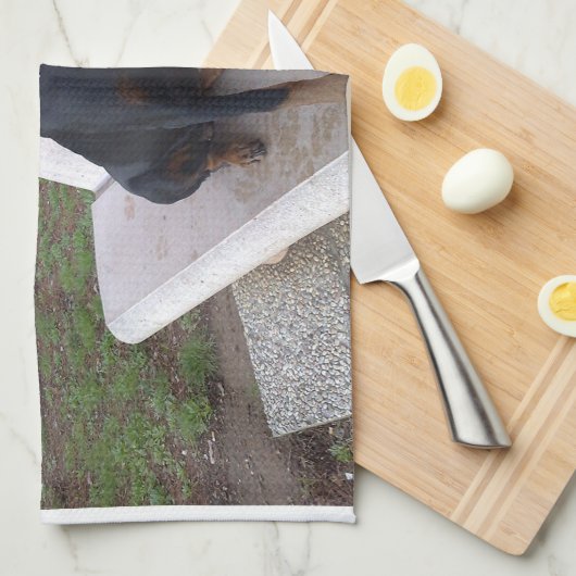 Doberman Flipper Geschirrtuch (Viertel Falte)