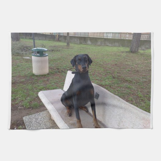 Doberman Flipper Geschirrtuch (Horizontal)