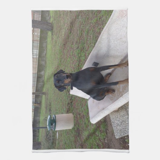 Doberman Flipper Geschirrtuch (Vertikal)