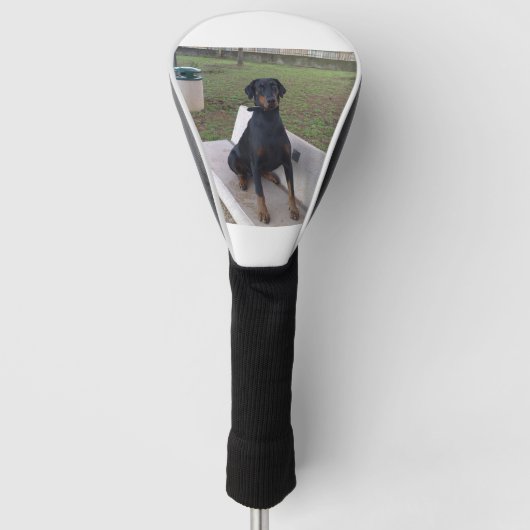 Doberman Flipper Golf Headcover (Vorderseite)