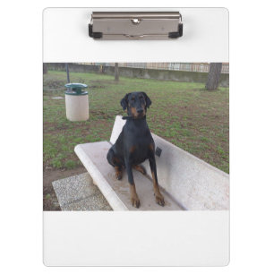 Doberman Flipper Klemmbrett