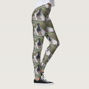 Doberman Flipper Leggings