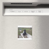 Doberman Flipper Magnet (In Situ (Geschirrspüler))
