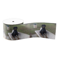 Doberman Flipper