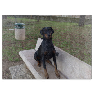 Doberman-Flipper Schneidebrett
