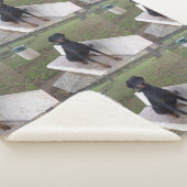Doberman Flipper Sherpadecke (3/4)
