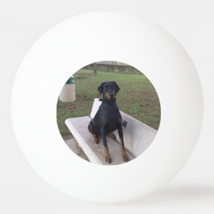 Doberman Flipper Tischtennisball